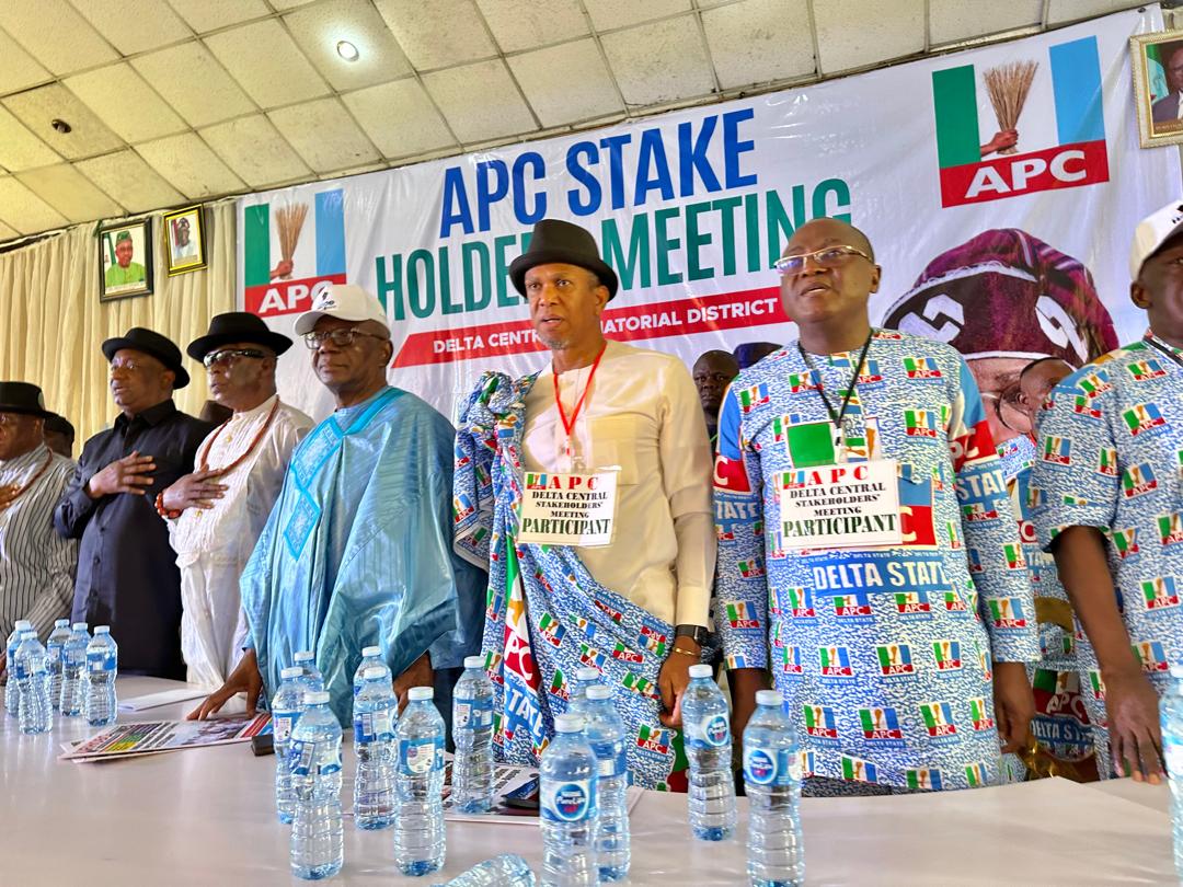 APC Leaders In Delta Central Declare Support For Tinubu, Oborevwori ...